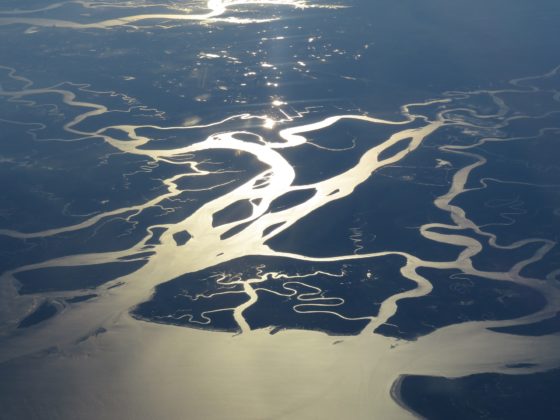 Устье каких рек образует обширную дельту, приток определение география