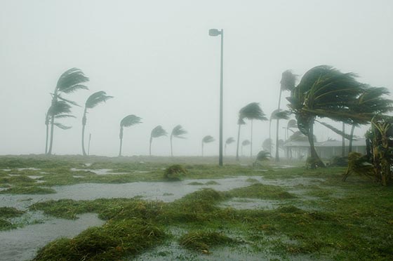 Что такое ураган и чем он опасен?
