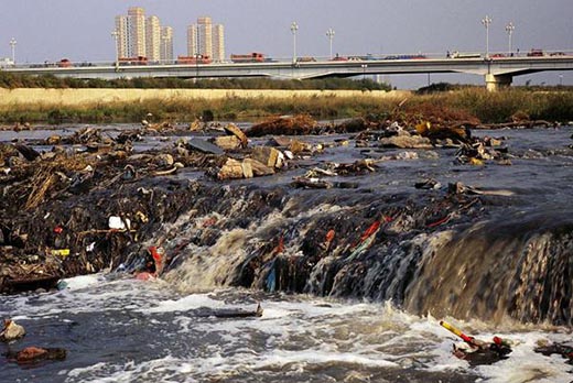 Что делается для охраны загрязненных рек и озер в России?