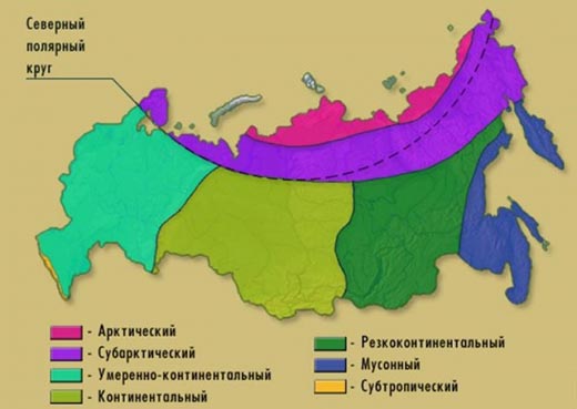 Какие климатические пояса есть в России?