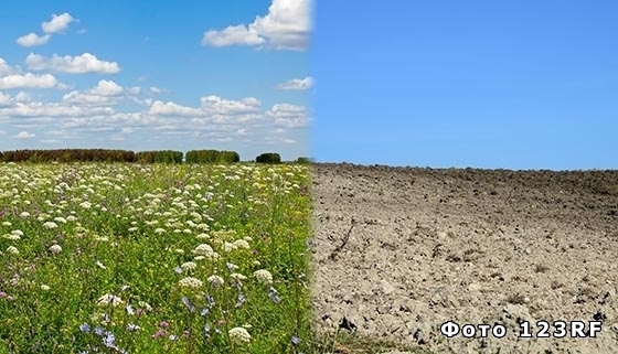 Агроклиматические ресурсы местности