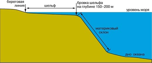 Что такое материковый склон?