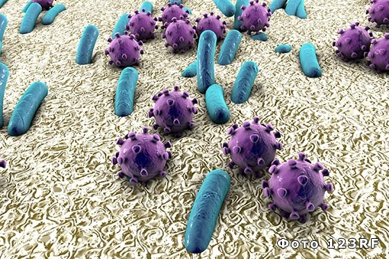 Что такое микробы и чем они опасны?