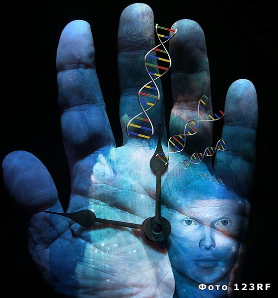 Что такое гены, геном и генетический код?