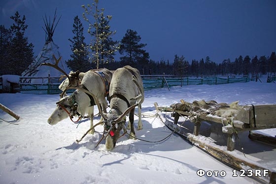 Что такое полярная ночь и полярный день?