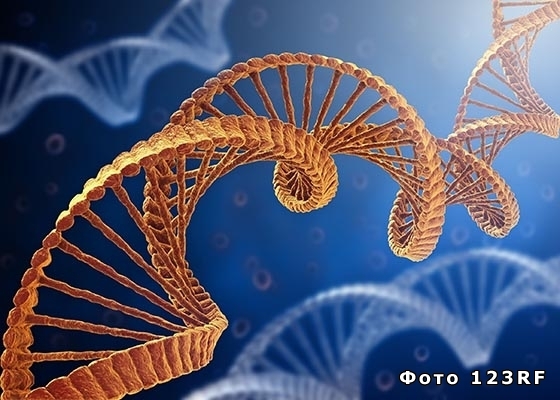 Что такое генетика и что она изучает?
