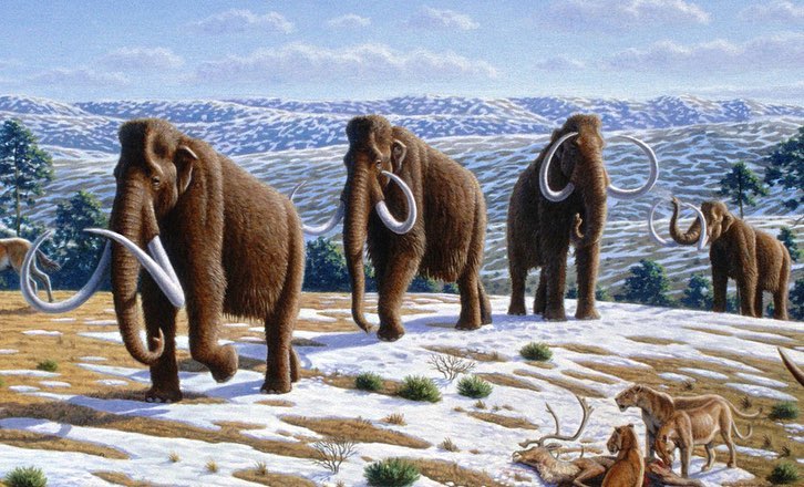 Топ 5 доисторических хищников ледникового периода Северной Америки