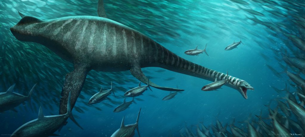 Эласмозавр — гигант глубины