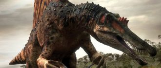 Архозавры — первые предки динозавров
