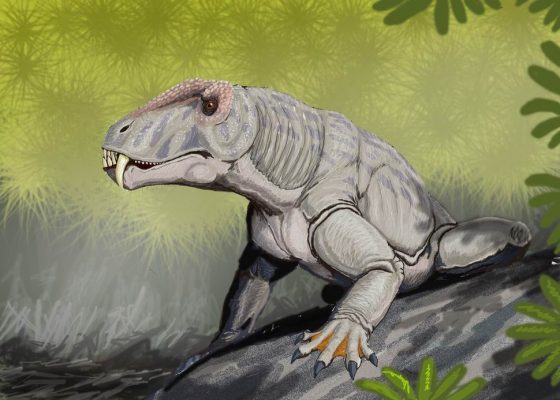 Антеозавр. описание