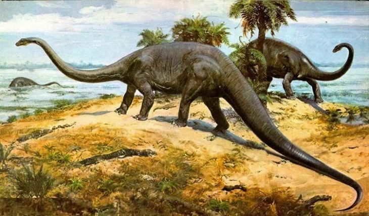 Когда жили динозавры?