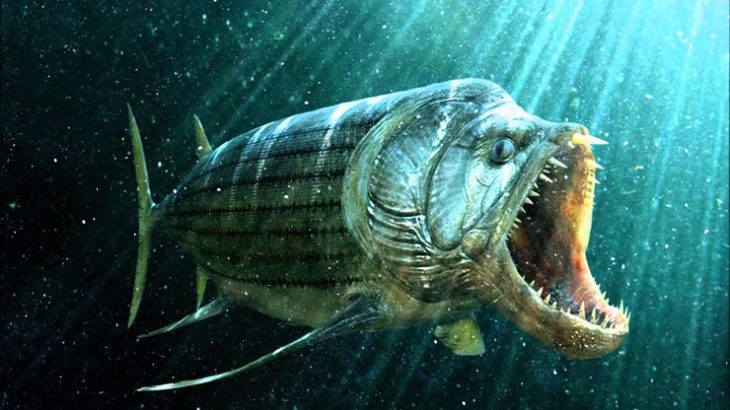 Ксифактин — рыба-убийца