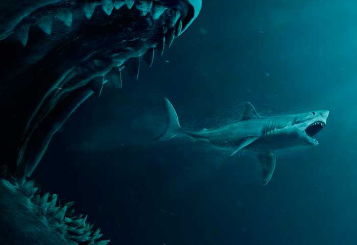 Зубы мегалодона больше, чем зубы любых известных видов акул на планете