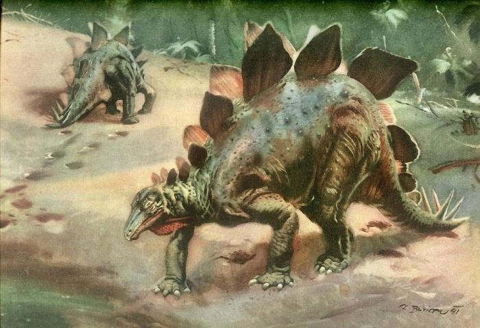 Стегозавр (Stegosaurus)