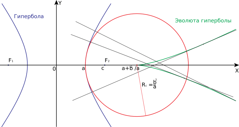 Гипербола в математике