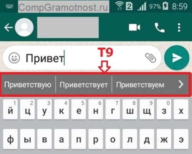 Что такое Т9?