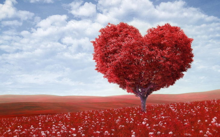 20 интересных фактов о сердце