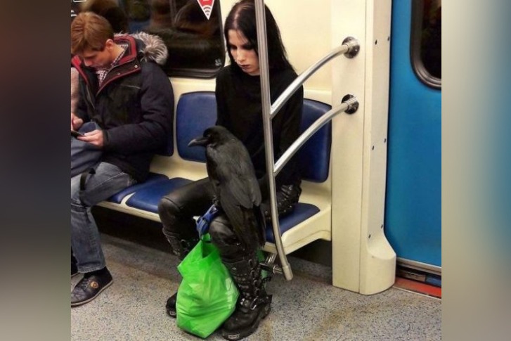 35 фото самых странных людей в метро