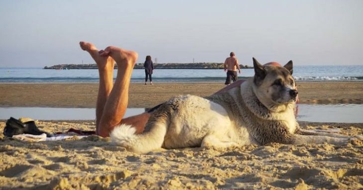 Top-35 Ridiculous Beach Photos