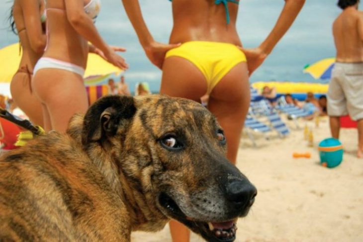 Top-35 Ridiculous Beach Photos