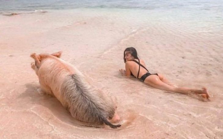 Top-35 Ridiculous Beach Photos