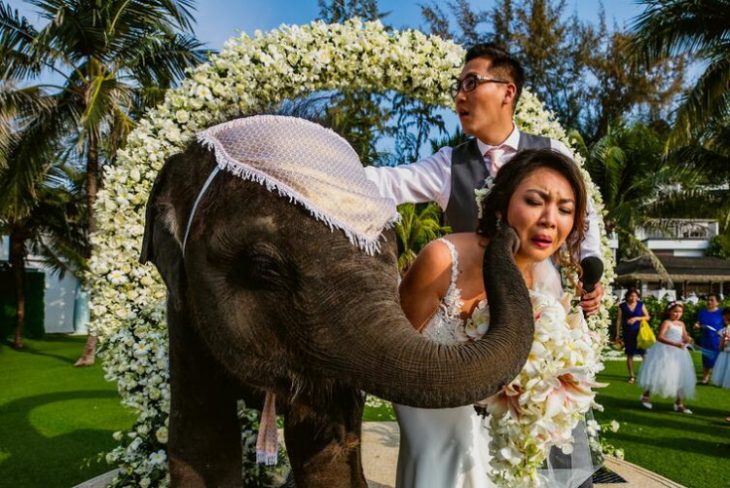 Memorable Wedding Photo Fails