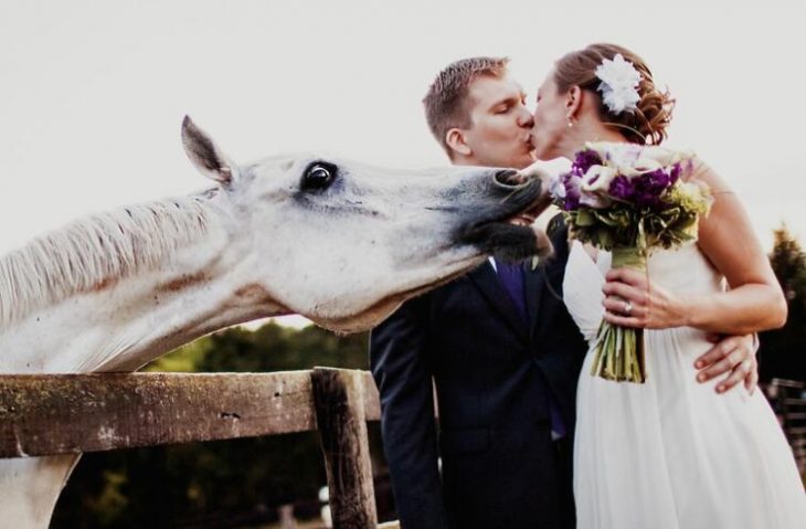 Memorable Wedding Photo Fails