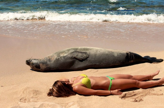 Top-35 Ridiculous Beach Photos