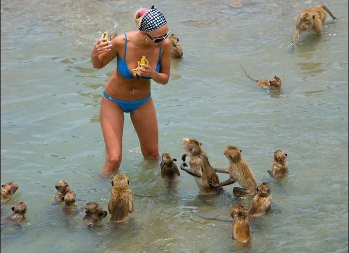 Top-35 Ridiculous Beach Photos