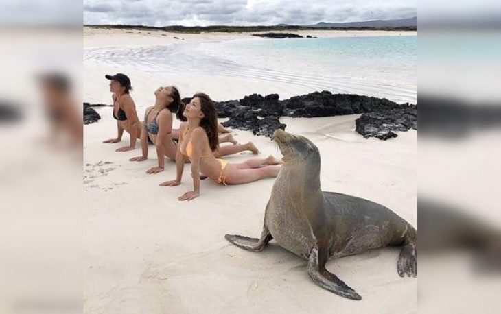 Top-35 Ridiculous Beach Photos