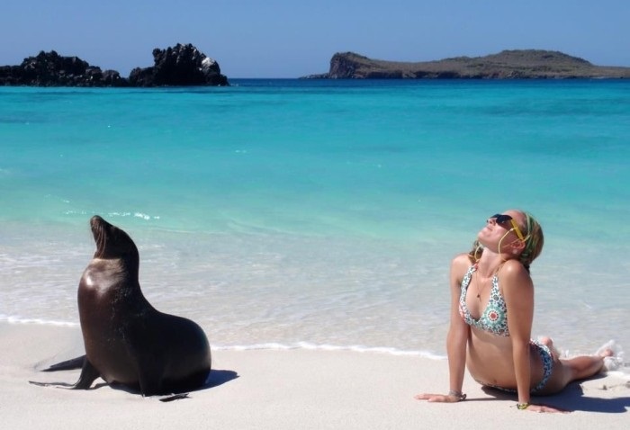 Top-35 Ridiculous Beach Photos