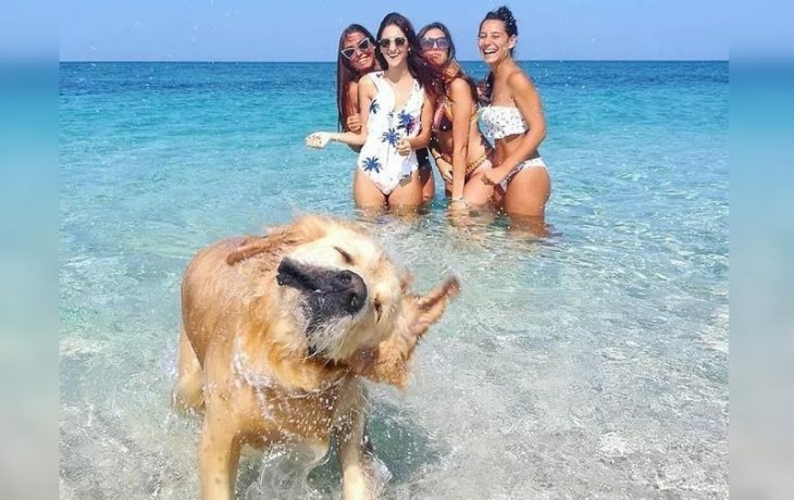 Top-35 Ridiculous Beach Photos