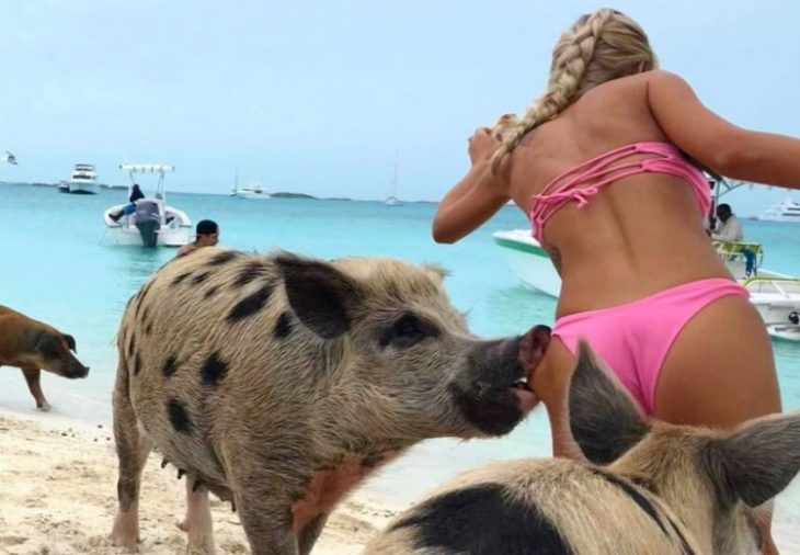 Top-35 Ridiculous Beach Photos