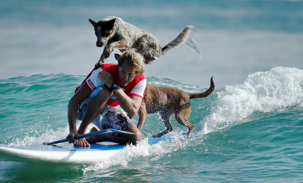 A World of Sporting Oddities: Unusual Games and Competitions