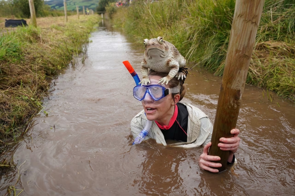 A World of Sporting Oddities: Unusual Games and Competitions