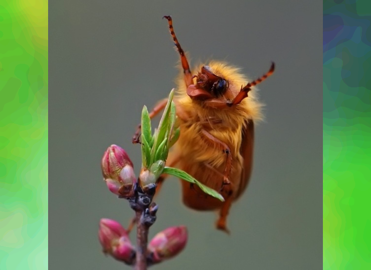 Captured Perfection: Animals Caught in the Perfect Moment